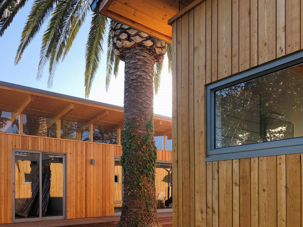 Palm And Pine Cottage Cape Town Exterior foto